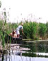 Danube Delta