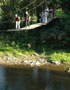 Bridge in Maramures