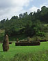 Maramures landscape